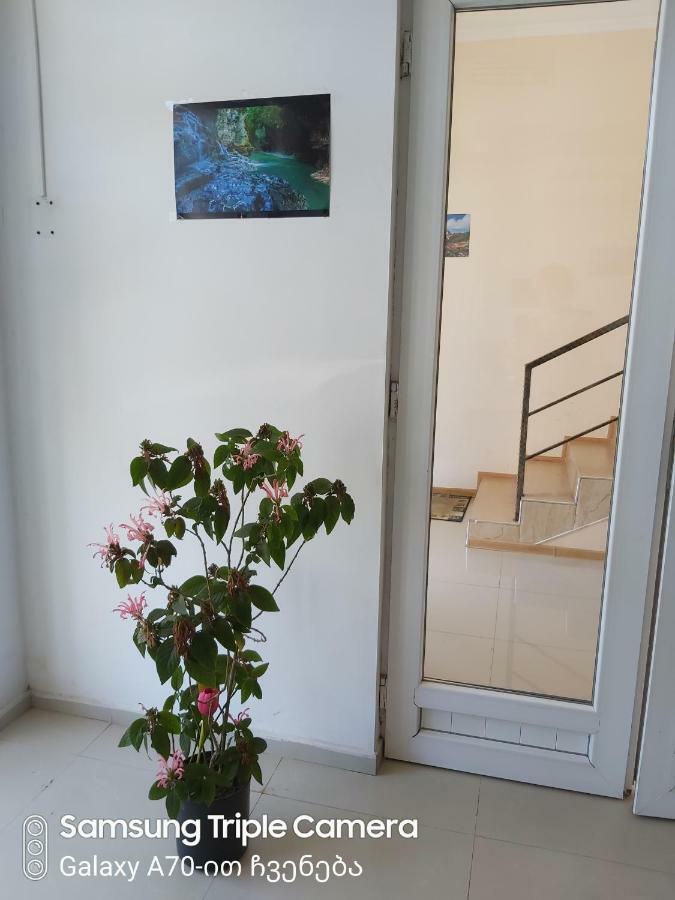 Martvili Newhotel Exterior foto
